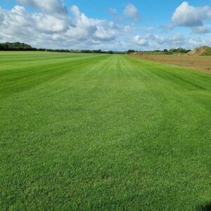 Turf - 'BLETCHLEY TOURNAMENT'