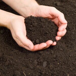 Blended Screened Soil