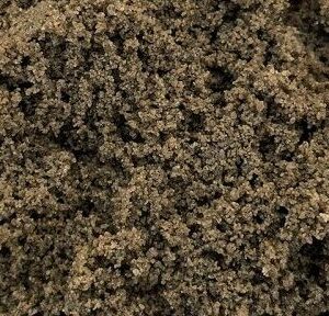 Root Zone